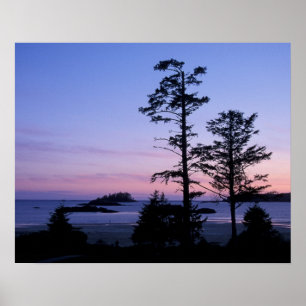 Nordamerika, Kanada, Vancouver Island, träd Poster