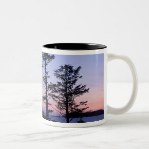 Nordamerika, Kanada, Vancouver Island, träd Två-Tonad Mugg