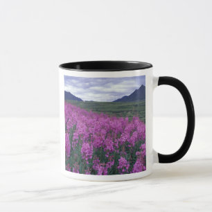 Nordamerika, Kanada, Yukon. Eldslok blommar Mugg