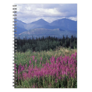 Nordamerika, Kanada, Yukon. Mjölke blommar Anteckningsbok Med Spiral