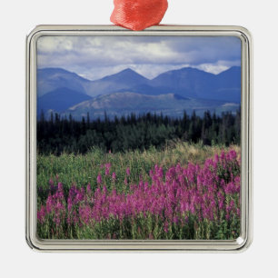Nordamerika, Kanada, Yukon. Mjölkört blommar Julgransprydnad Metall