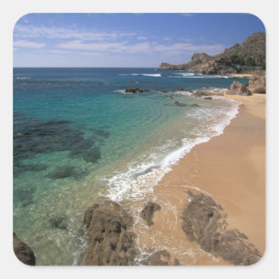 Nordamerika, Mexiko, Baja California Sur Fyrkantigt Klistermärke