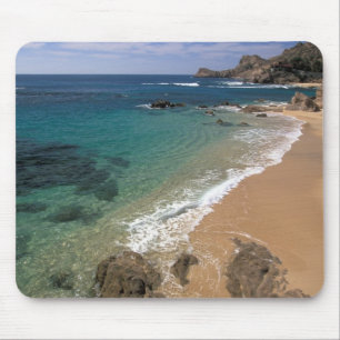 Nordamerika, Mexiko, Baja California Sur, Musmatta