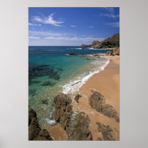 Nordamerika, Mexiko, Baja California Sur Poster