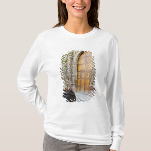 Nordamerika, Mexiko, Guanajuato delstat, San 3 T Shirt