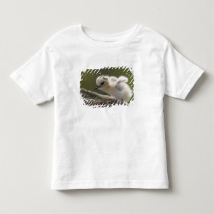 Nordamerika, nordvästra hawaiianska öarna, 2 tee shirt