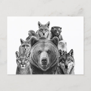 Nordamerika predators Woodland Animals Vykort