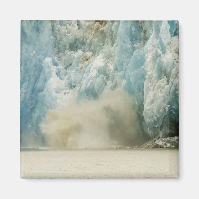 Nordamerika, USA, AK, Inside Passage Magnet (Framsidan)