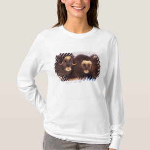 Nordamerika, USA, Alaska, Arktiska cirkeln, Tee Shirt