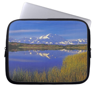 Nordamerika, USA, Alaska, Denali NP, Laptop Fodral