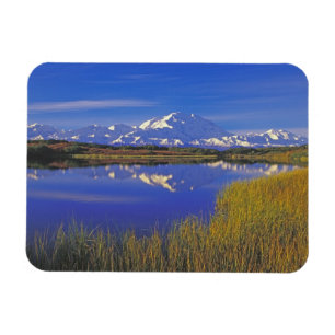 Nordamerika, USA, Alaska, Denali NP, Magnet