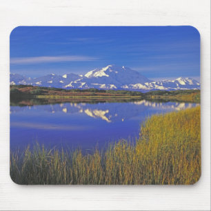 Nordamerika, USA, Alaska, Denali NP, Musmatta