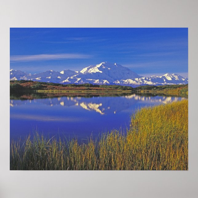 Nordamerika, USA, Alaska, Denali NP, Poster (Framsidan)