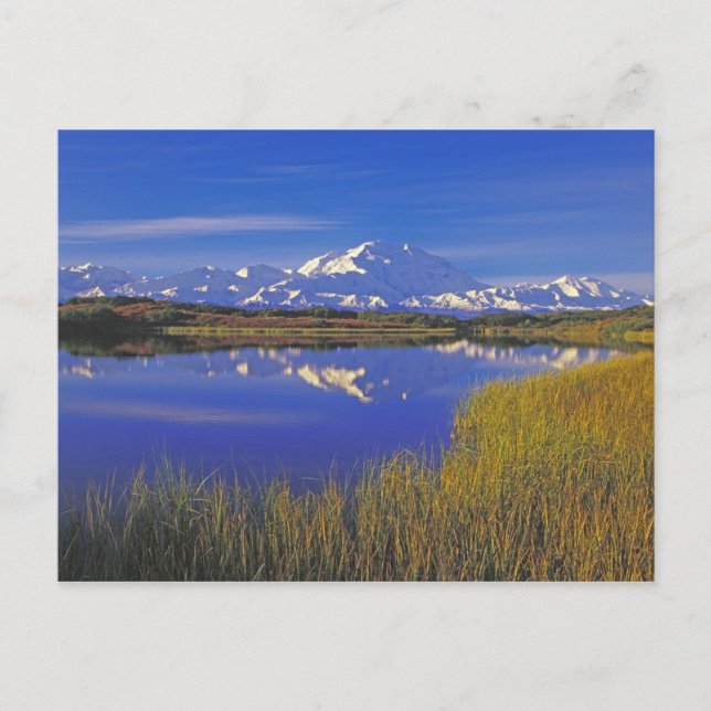 Nordamerika, USA, Alaska, Denali NP, Vykort (Framsida)