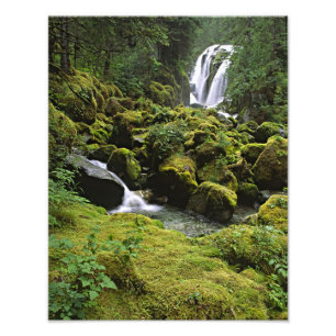 Nordamerika, USA, Alaska. En vattenfall och Fototryck
