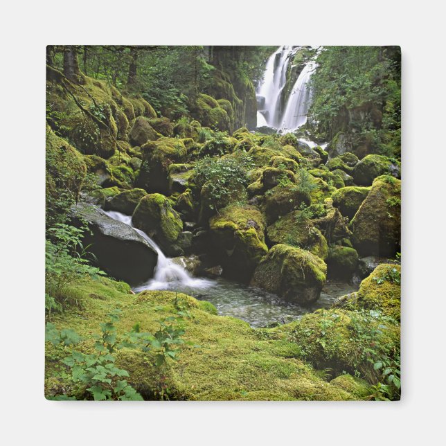 Nordamerika, USA, Alaska. En vattenfall och Magnet (Framsidan)
