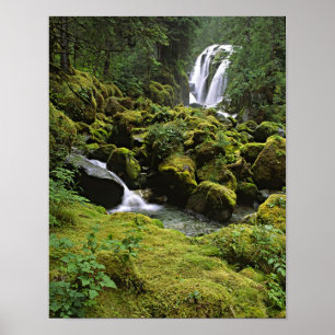 Nordamerika, USA, Alaska. En vattenfall och Poster