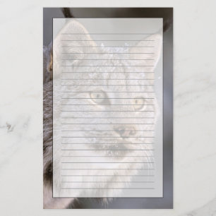 Nordamerika, USA, Alaska, Haines. Lodjur (Felis 2 Brevpapper