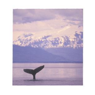 Nordamerika, USA, Alaska, Inside Passage. Anteckningsblock