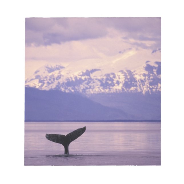 Nordamerika, USA, Alaska, Inside Passage. Anteckningsblock (Framsida)