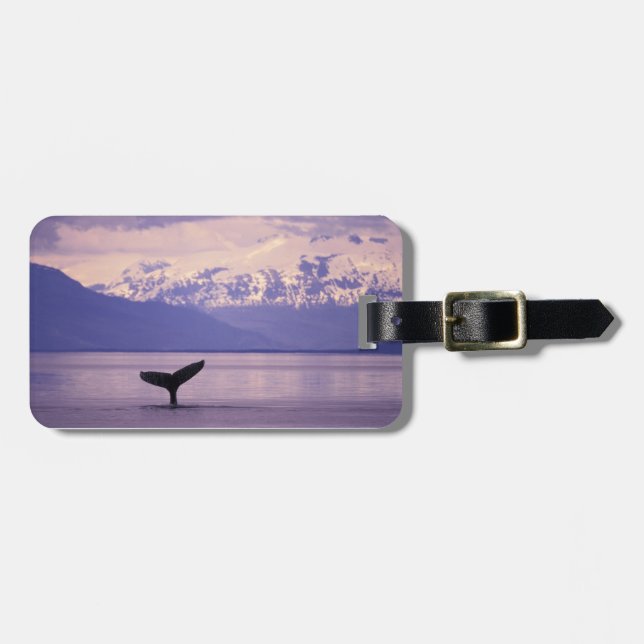 Nordamerika, USA, Alaska, Inside Passage. Bagagebricka (Horisontell Framsida)