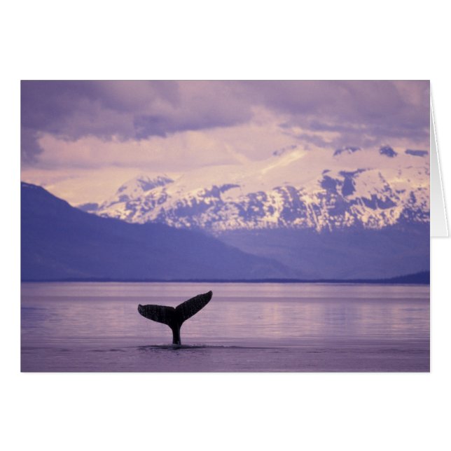 Nordamerika, USA, Alaska, Inside Passage. Hälsningskort (Framsidan Horizontal)