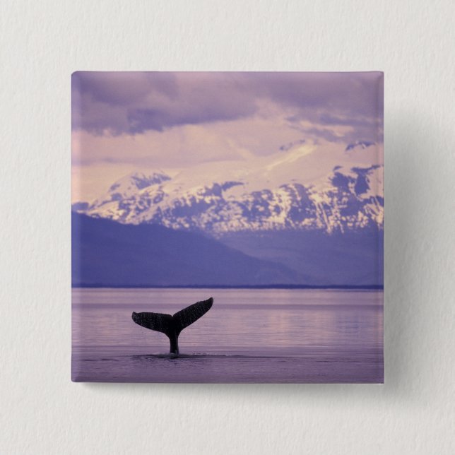 Nordamerika, USA, Alaska, Inside Passage. Knapp (Framsida)