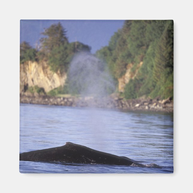 Nordamerika, USA, Alaska, Inside Passage. Magnet (Framsidan)