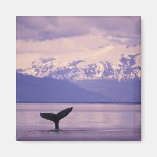 Nordamerika, USA, Alaska, Inside Passage. Magnet (Framsidan)