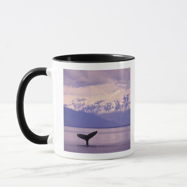 Nordamerika, USA, Alaska, Inside Passage. Mugg (Vänster)
