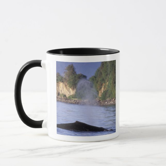 Nordamerika, USA, Alaska, Inside Passage. Mugg (Vänster)