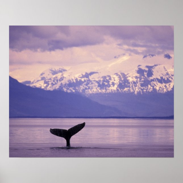 Nordamerika, USA, Alaska, Inside Passage. Poster (Framsidan)