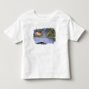 Nordamerika, USA, Alaska, Inside Passage. T Shirt