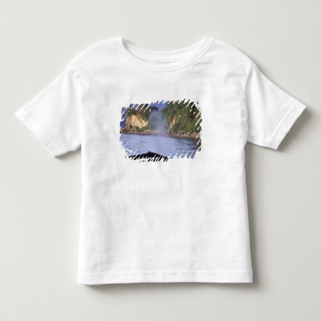 Nordamerika, USA, Alaska, Inside Passage. T Shirt (Framsida)