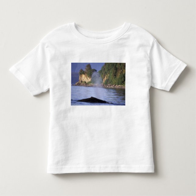 Nordamerika, USA, Alaska, Inside Passage. Tee Shirt (Framsida)