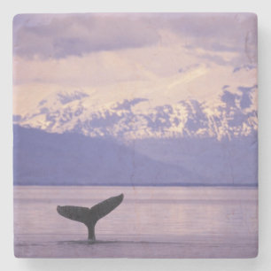 Nordamerika, USA, Alaska, Inside Passage. Underlägg Sten