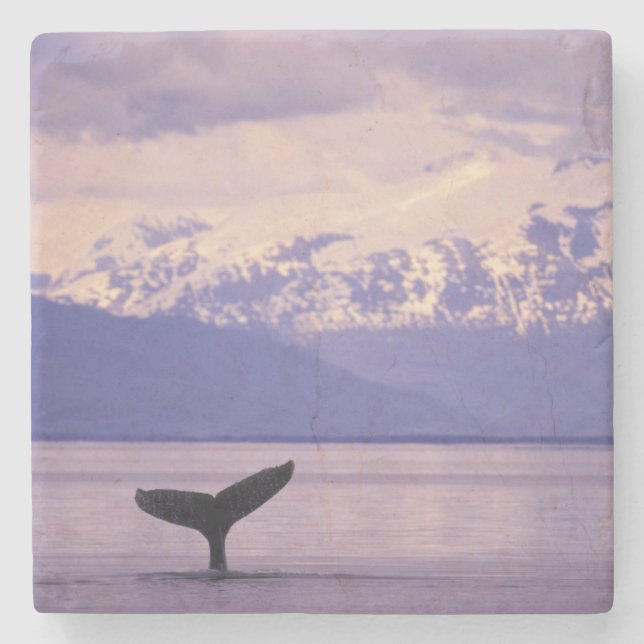 Nordamerika, USA, Alaska, Inside Passage. Underlägg Sten (Framsidan)