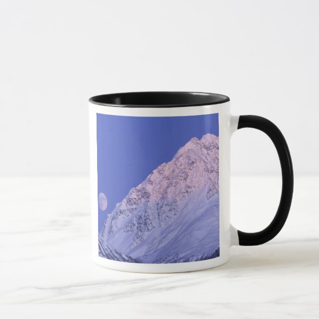 Nordamerika, USA, Alaska, Knik River, Mugg (Höger)