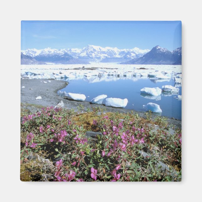 Nordamerika, USA, Alaska, Prince William Magnet (Framsidan)