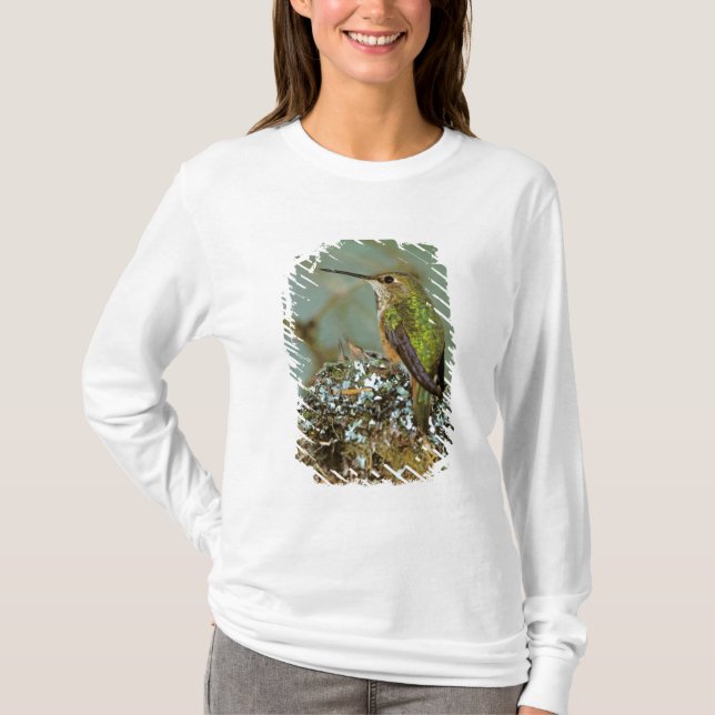 Nordamerika, USA, Alaska. Rostkolibri Tee Shirt (Framsida)