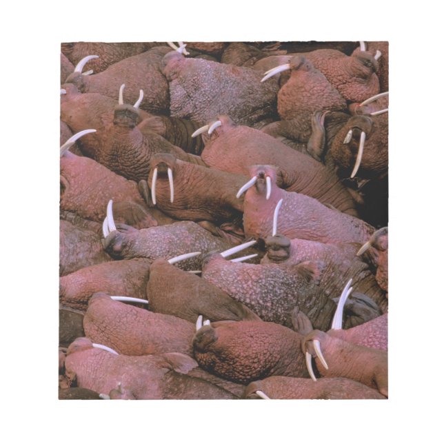 Nordamerika, USA, Alaska, Yukon Delta National Anteckningsblock (Framsida)