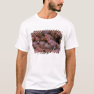 Nordamerika, USA, Alaska, Yukon Delta National T Shirt
