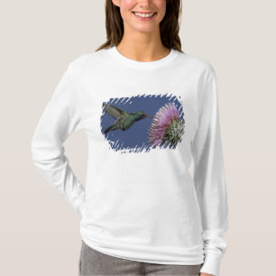 Nordamerika, USA, Arizona. Brednäbbad T Shirt