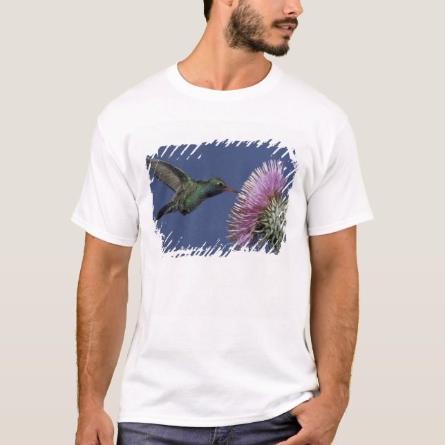 Nordamerika, USA, Arizona. Brednäbbad Tee (Framsida)