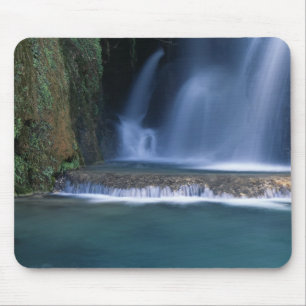 Nordamerika, USA, Arizona, Havasu Canyon, 2 Musmatta
