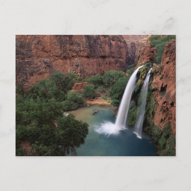 Nordamerika, USA, Arizona, Havasu Canyon, Vykort (Framsida)