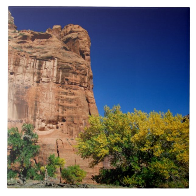 Nordamerika, USA, Arizona, Navajo indian 3 Kakelplatta (Framsidan)