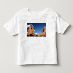 Nordamerika, USA, Arizona, Navajo indian 4 T-shirt