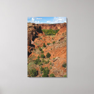 Nordamerika, USA, Arizona, Navajo Indian Canvastryck