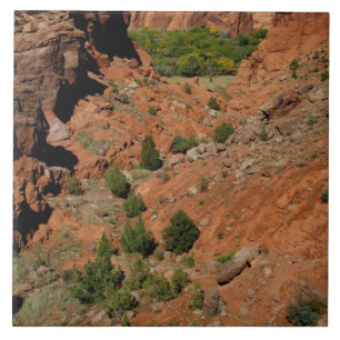 Nordamerika, USA, Arizona, Navajo Indian Kakelplatta